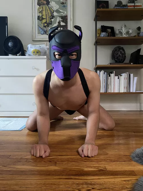 Anyone wants to adopt this puppy? by balamb00