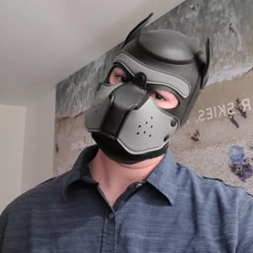 Anypup have the balls to wear their pup hood for Halloween? by EscapePlenty