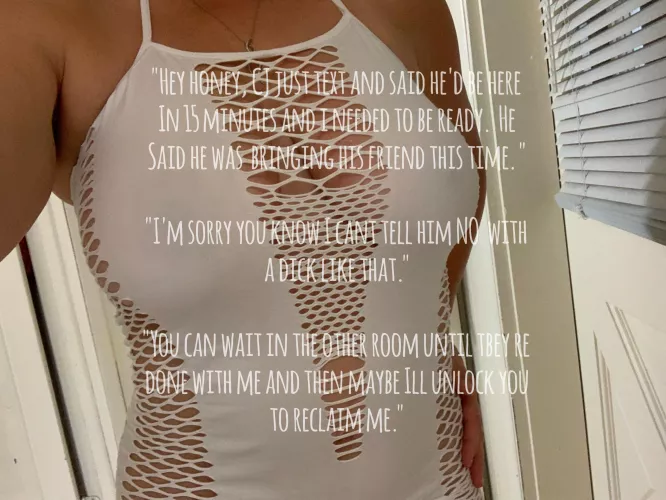 Anything to please my bulls by Saltfreak84