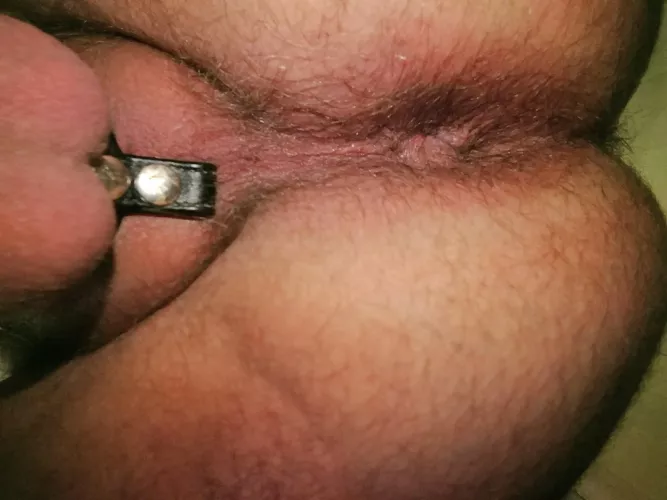 Anything you want to keep in my Cubby Hole? 🐻 by carnaj85