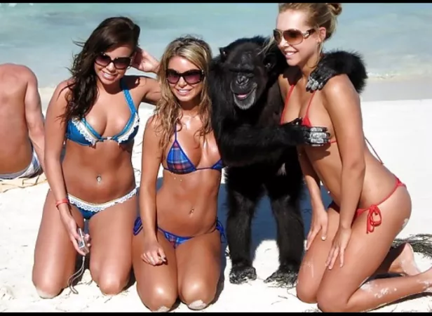 Aping around at the beach by Chaturbater1