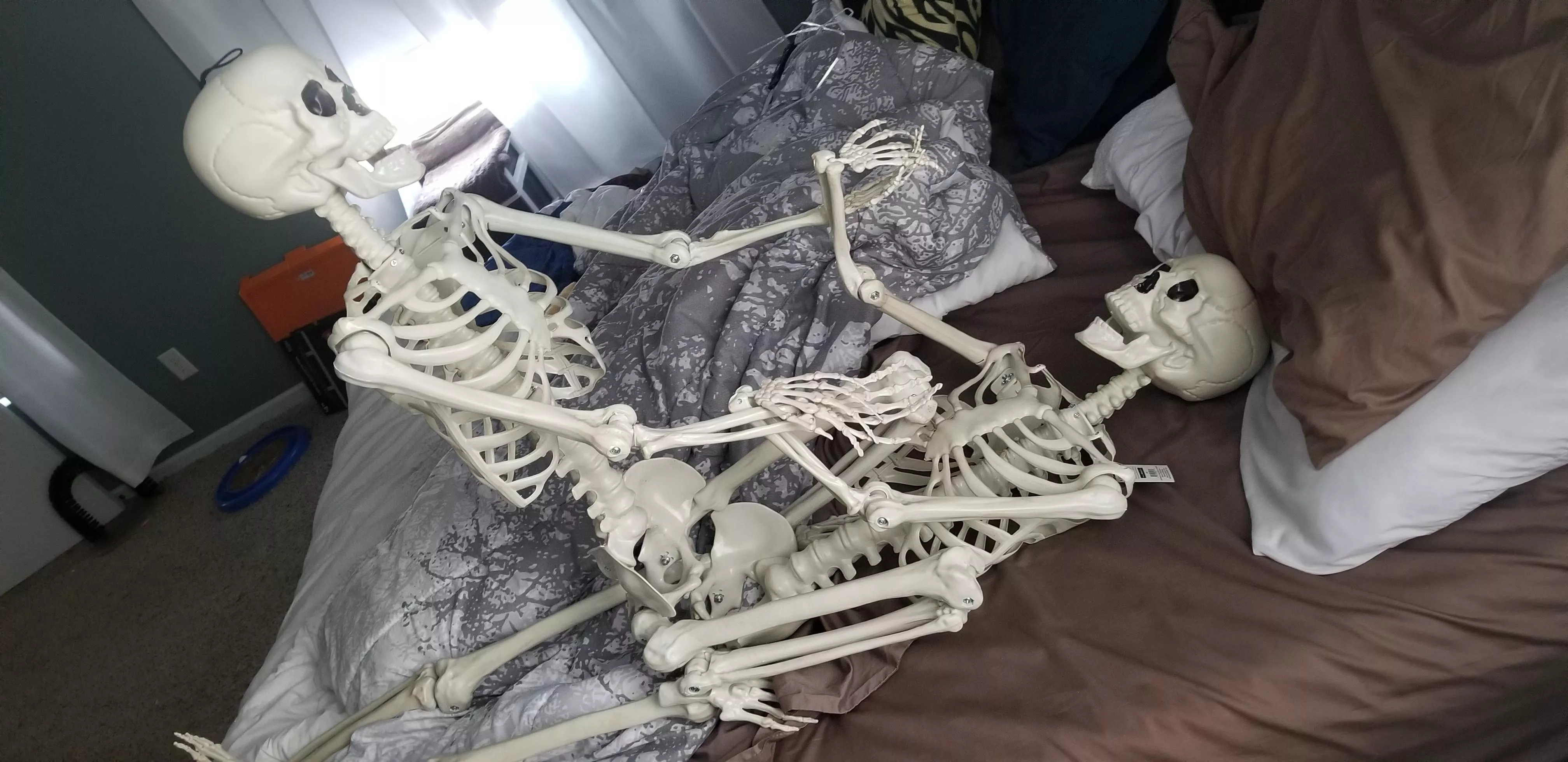 apparently I cannot be trusted with plastic skeletons. posted by arthurfrickindent