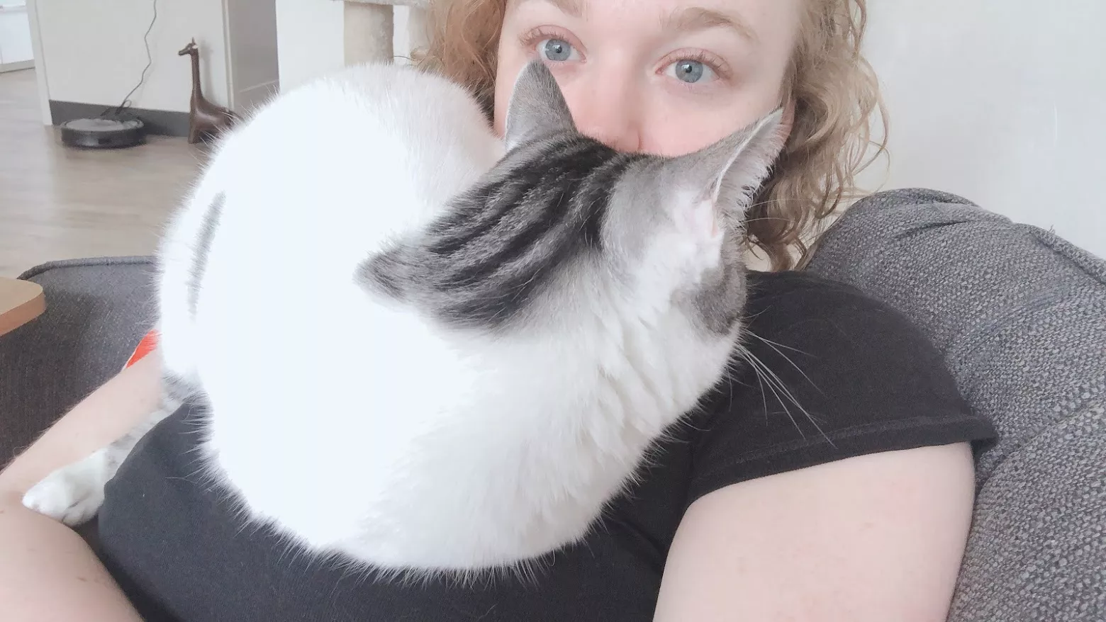 Apparently my titties are a good resting spot for Peanut. posted by sarah-xxx