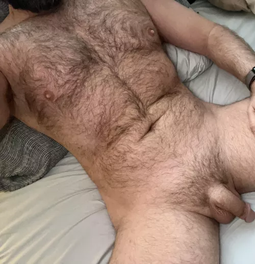 Are bi bears acceptable here? by JaxxonJay