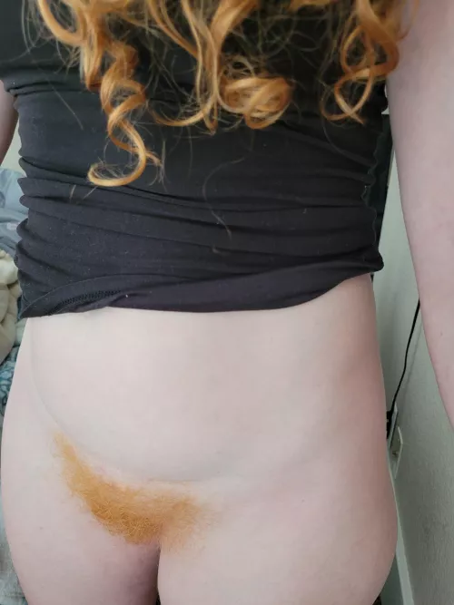 Are hips and bush a thing? by jenniginger