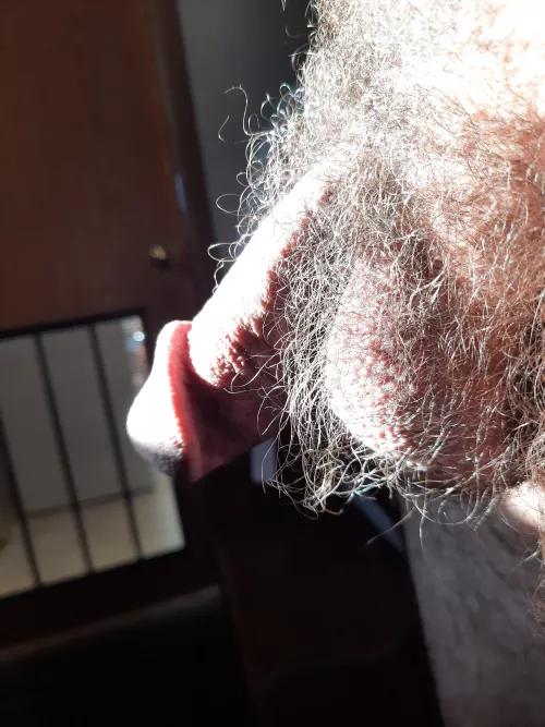 Are my balls too hairy? by Antique-Ad1167