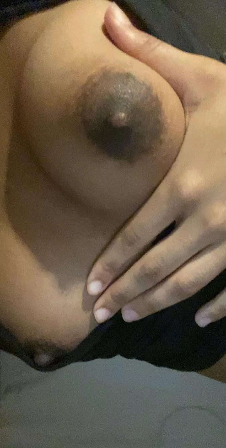 Are my brown nipples suckable? posted by goldenbadgal