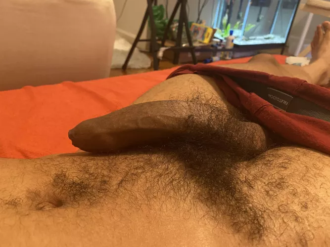 Are my pubes too hairy ? by PeachCrocodile2