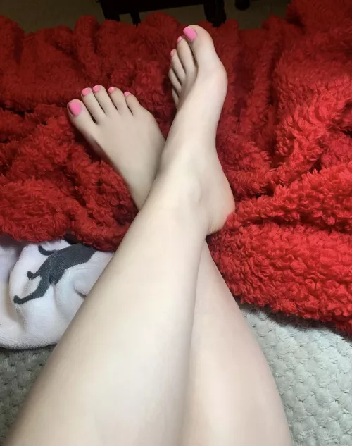 Are they pretty? 😉 by BumbleBeee0