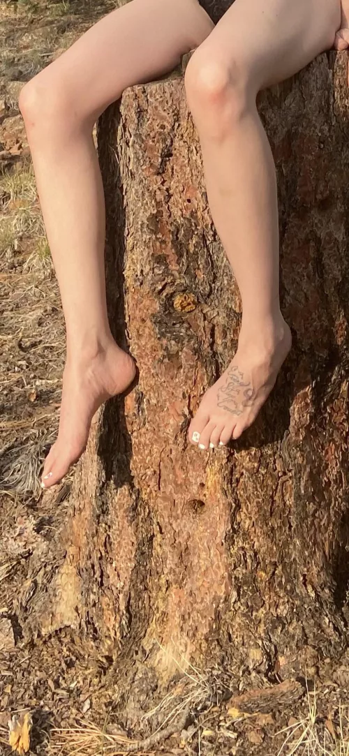 Are they pretty enough to drool over? by SnooMemesjellies6930