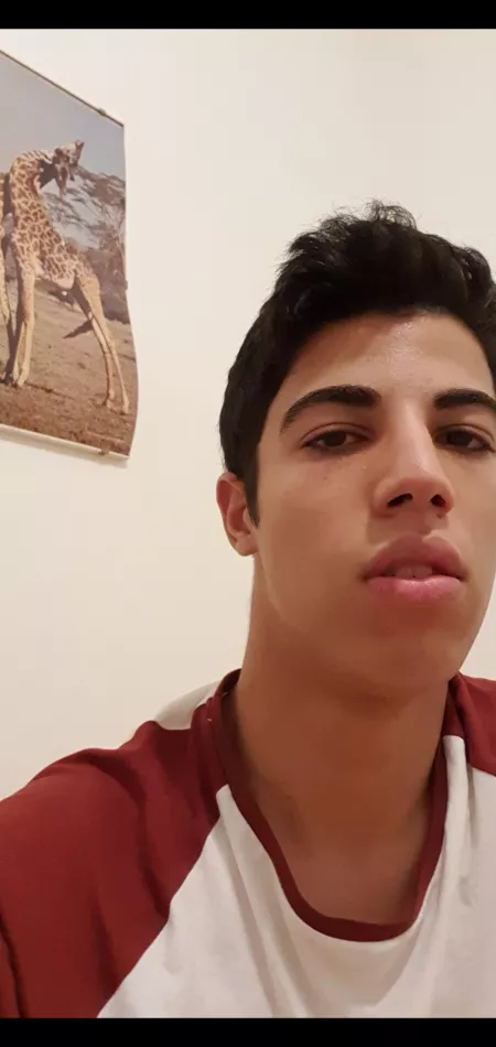 Are those giraffes fucking? (19m) by thworrrph