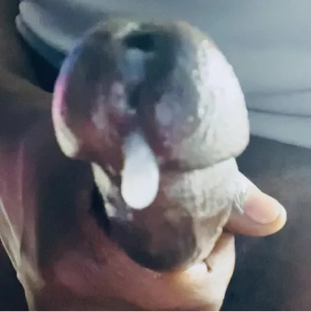 Are you going to let it drop? by Mr_renaissanxe