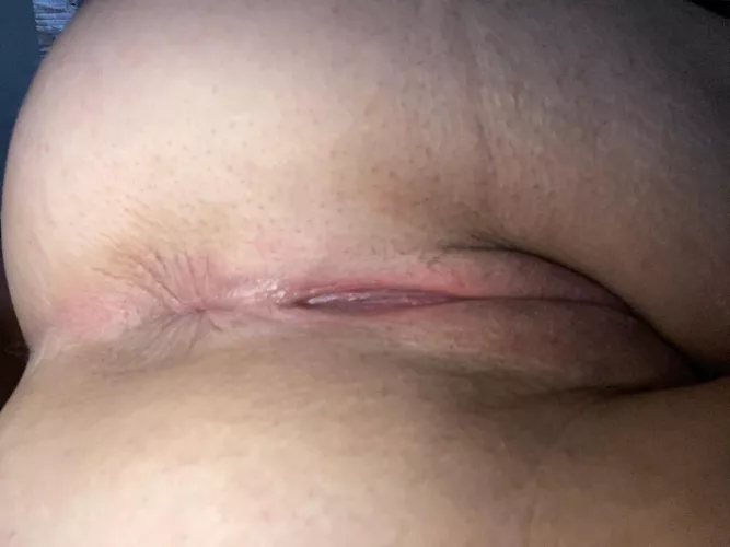 Are you going to use my pussy more or open up my tight ass? by kitty__81