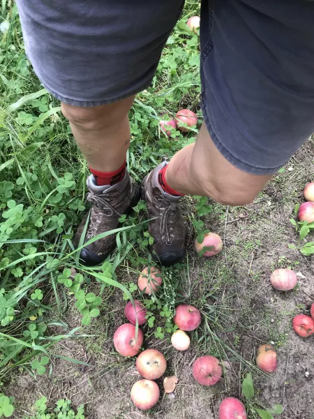 Are you here yet? by blueOceanKiting