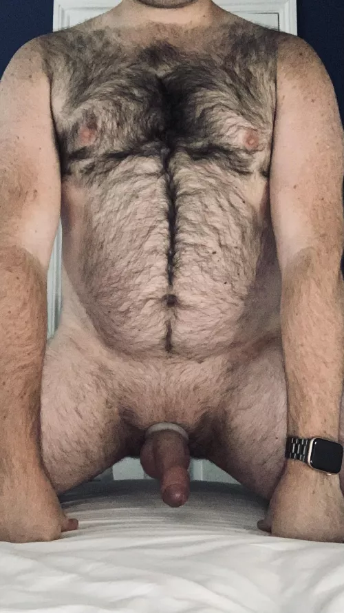 Are you looking for a no limits up to collar and own? by pup_huskyZA