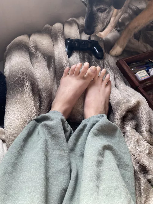 Aren’t I cute?😋 by adriankitty