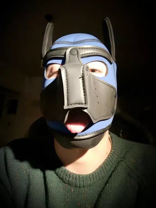 Aroo say hi, I'm new! Looking for friends! by cochondesalpes