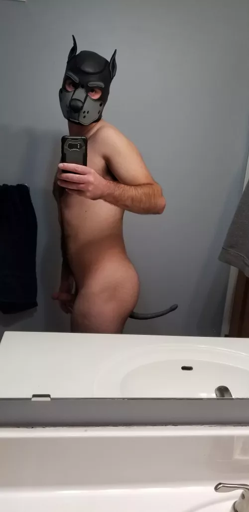 Arooooo! Loving my new tail! by bicurious1516