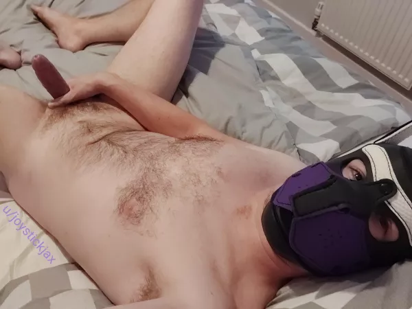 Arrooo 🐾 by joystickjax