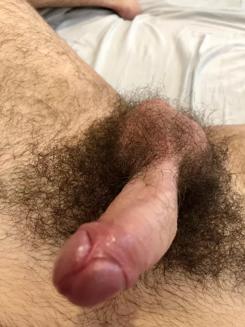 As bushy as it gets by pandimos