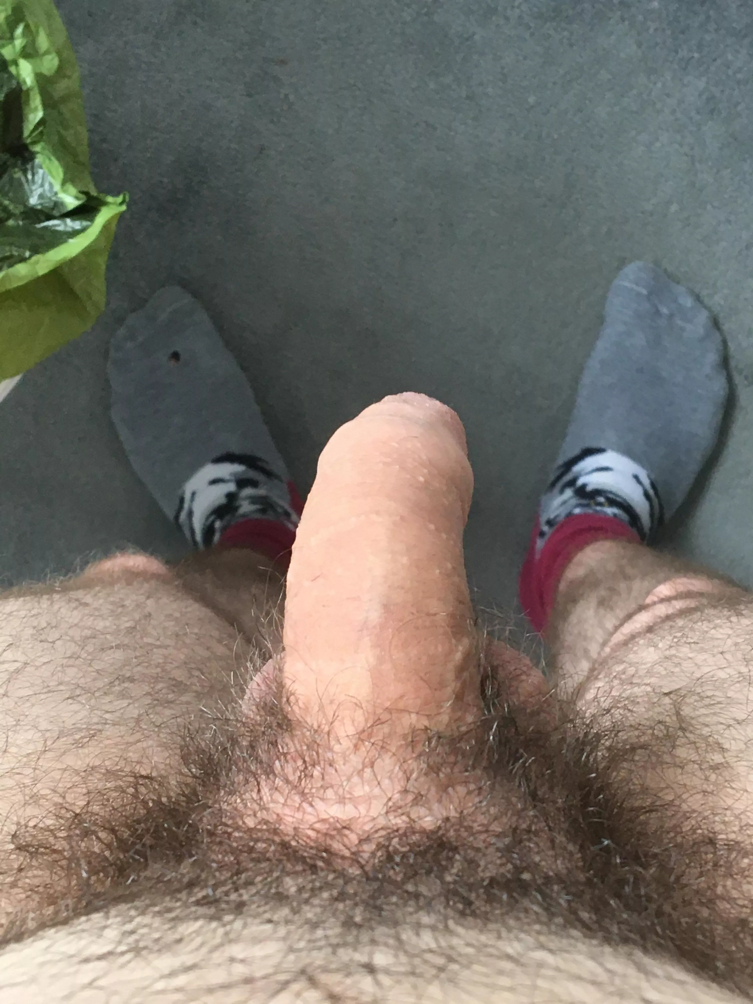 As requested I’m trimming down to shave it up. More soon 😂 posted by Definetly_Human