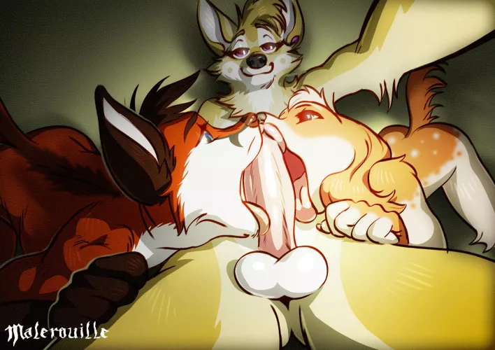 AshCoyote Selfie l (Malerouille) by Nyiffy