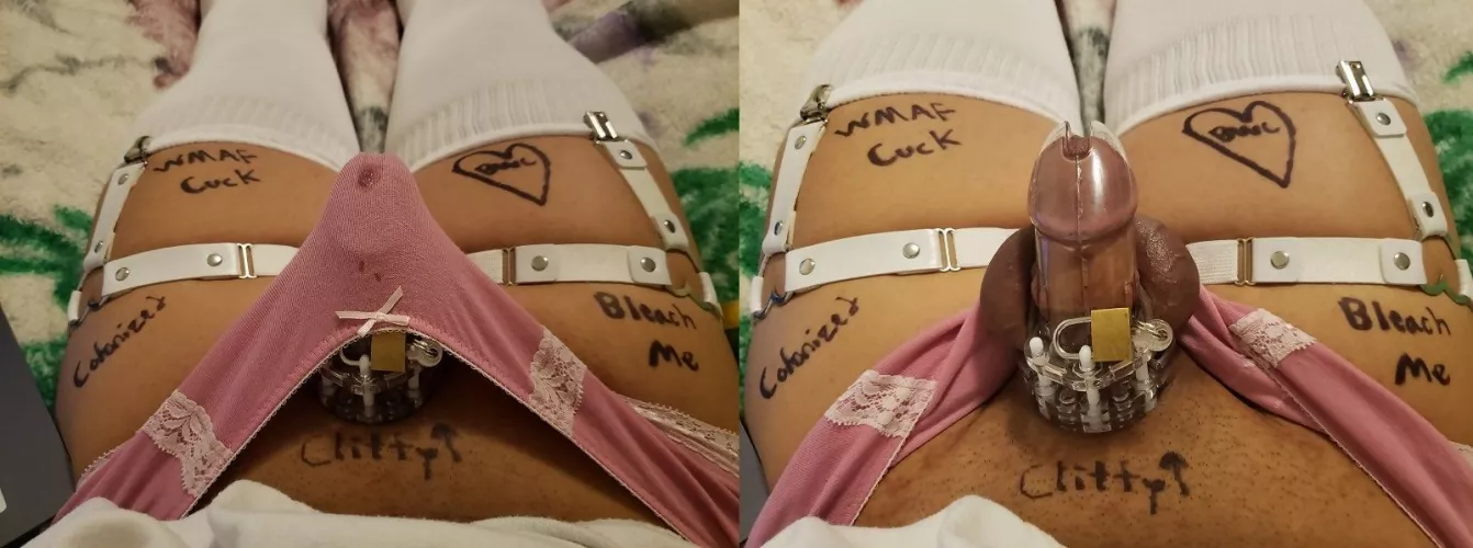 Asian boi reacts to WMAF by LeashyBoy