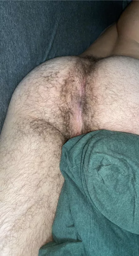 Ass ass ass by Zootho