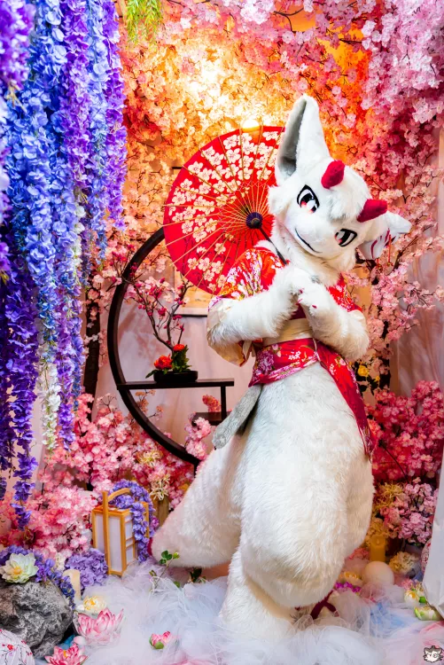 At a japanese-style studio by Lapyu