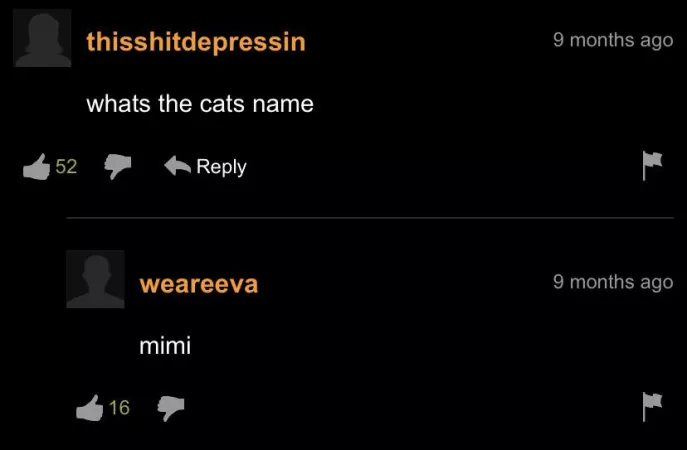 At least we know the cat’s name by RooRooLoop