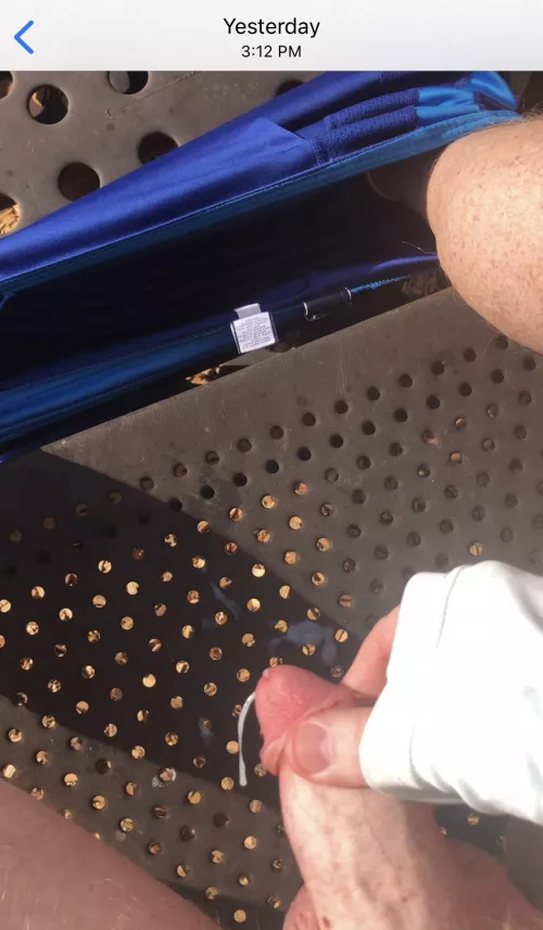 At the Park by gingerguyNfl