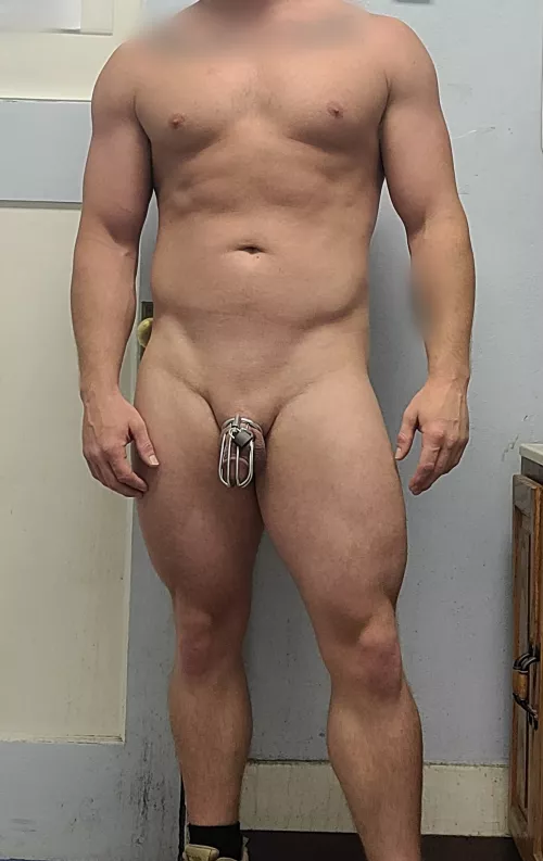 At work and locked in my more comfortable cage by Wonderful-System7714