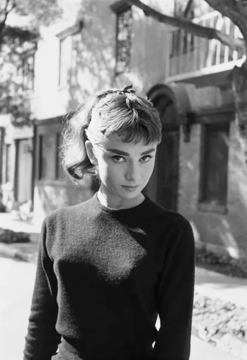 Audrey Hepburn by stunt_p