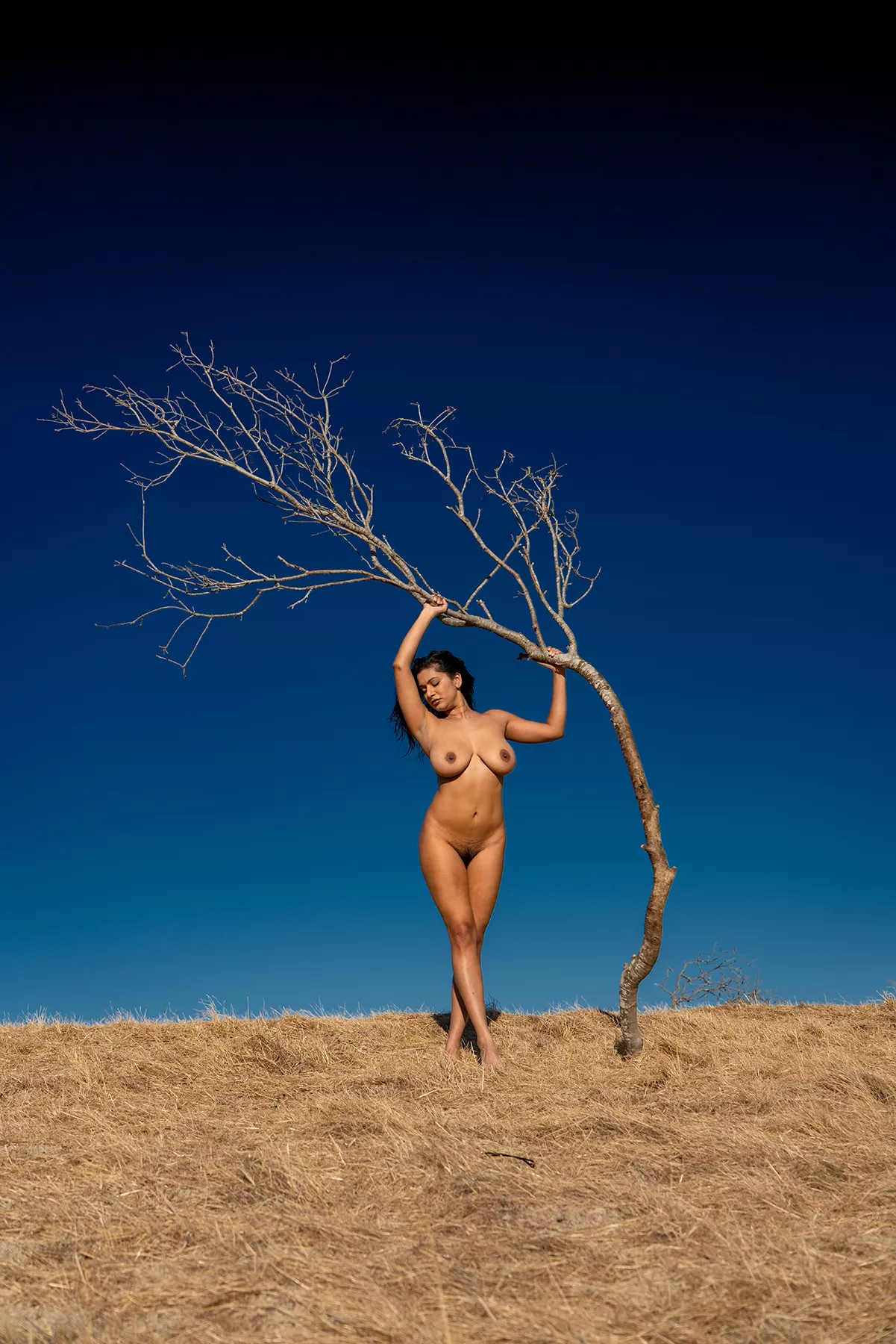 August 2020 posted by ArjunNaidu