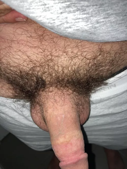 Aussie bushland by helicalsteelwrap