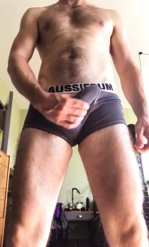 Aussiebums love my bulge… by WillStark84