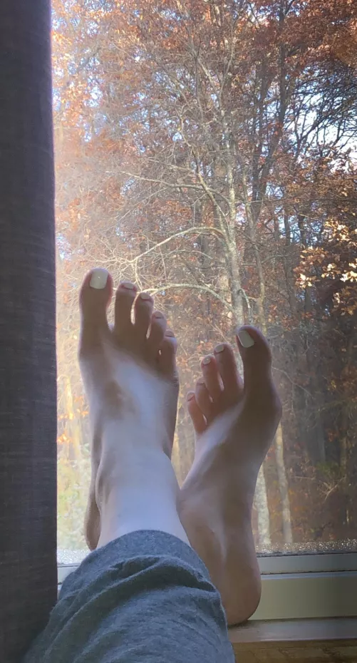 Autumn by inebriatedchow