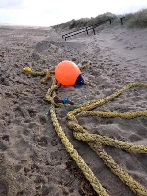 Autumn beach vibes posted by KarlKay