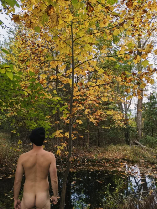 Autumn by MysteriousActuator2