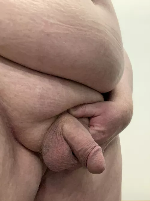 Average FatBoy penis by fatboysix