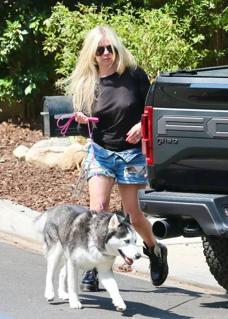 Avril Lavigne by Dabor20