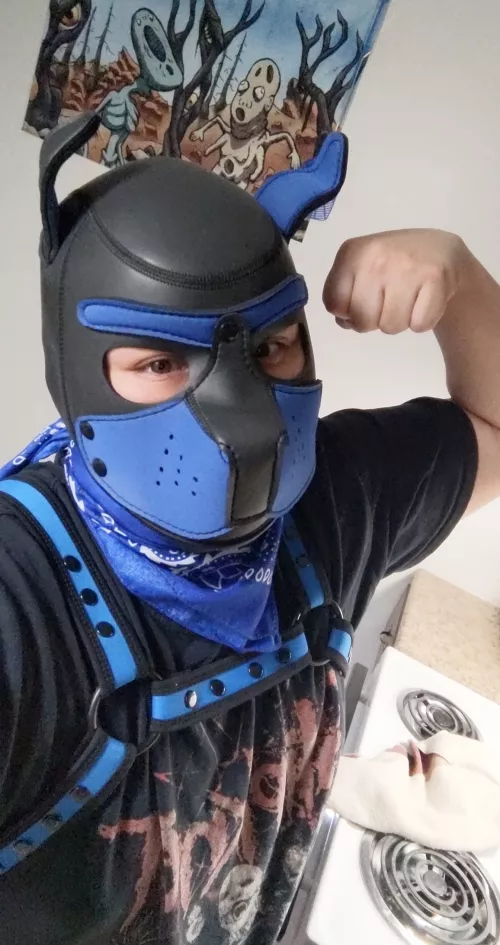 Awoo! How's everyone doing this new year 🙊 by ghoststhatlikepie