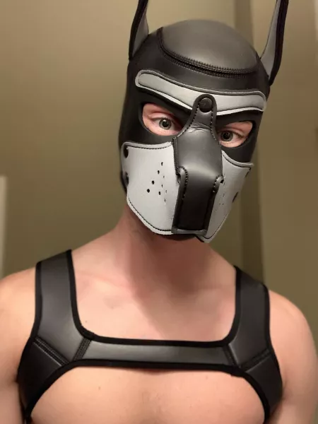 Awoo? Is that for me? by Guest020103