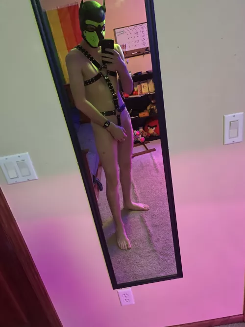 Awoo! Who’s taking me for a walk? by PupPhil6090