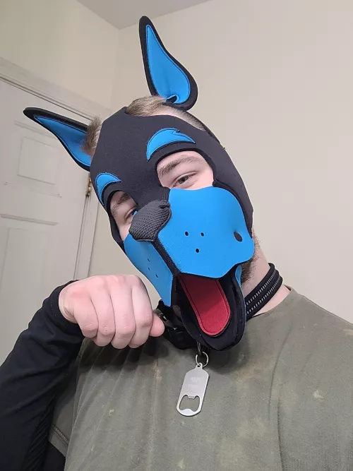 Awrufff, Pup Coopy getting ready for da spooks. by Copper_Paws