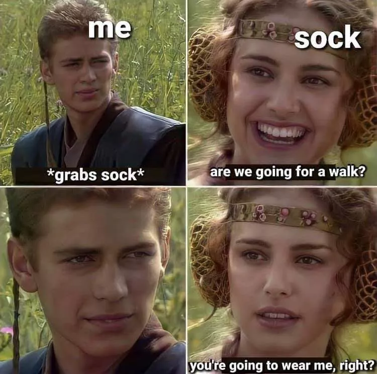 Aww, that poor Hanes... Welcome to the family... posted by BlackHand9800