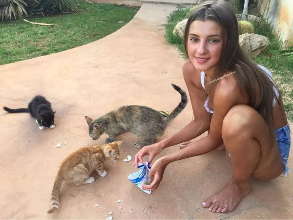 Awww... too cute... feeding the kitties by VectorA101