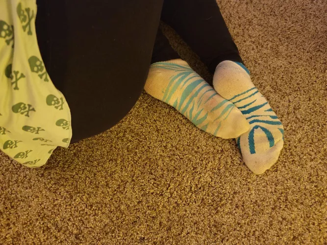 Back by popular demand and actually paid for this time! Day 2 of the zebra socks. DM me if you want the real thing. by PPS-sales
