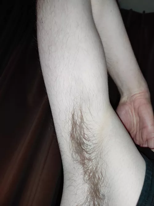 Back from my holiday break, and I plan to keep posting my hairy armpits!