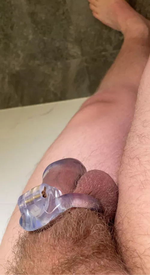 Back in this boi for a while. Had issues with the ring size of my metal cage so we wearing this for a while by Chastite